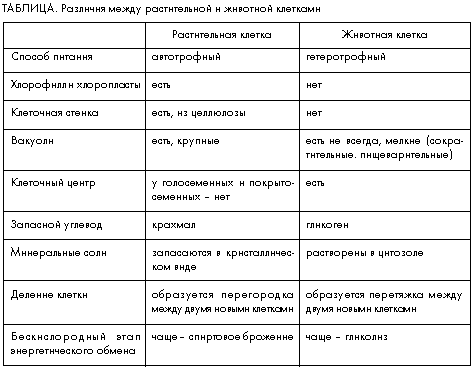 В чем заключается принципиальное различие клеток живых организмов. b0adb4181876f7dc47f6e8807ce2de86. В чем заключается принципиальное различие клеток живых организмов фото. В чем заключается принципиальное различие клеток живых организмов-b0adb4181876f7dc47f6e8807ce2de86. картинка В чем заключается принципиальное различие клеток живых организмов. картинка b0adb4181876f7dc47f6e8807ce2de86