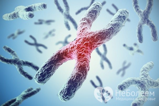 Миопатия дюшенна: как продлить жизнь человека с генетическим заболеванием