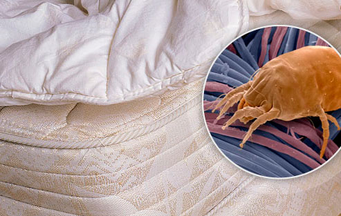 Медики рассказали, чем опасно грязное постельное белье