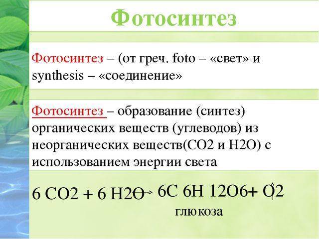 Фотосинтез презентация 10 класс