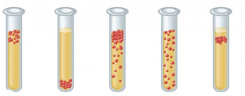 Царство архебактерии - archaebacteria