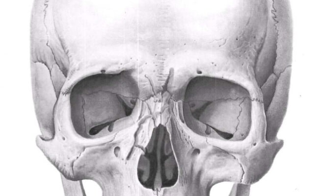 Перелом носа: формы, признаки и выявление, лечение травмы, возможные осложнения