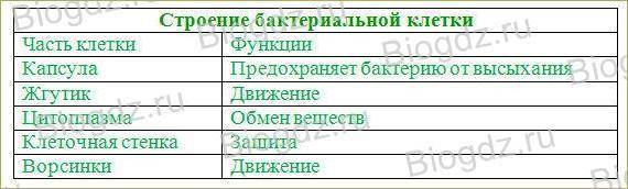 Функции органоидов бактерий. Строение бактериальной клетки таблица. Бактериальная клетка строение и функции таблица. Строение бактериальной клетки часть клетки функции. Функции структур бактериальной клетки.