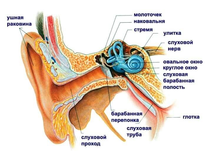 Причины и лечение заболеваний, сопровождающихся сильным писком в ушах