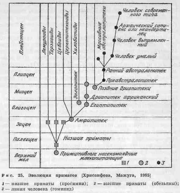 Бактерии это древние организмы потому что они. b7ab1263ac171335a6ea36d653282dc7. Бактерии это древние организмы потому что они фото. Бактерии это древние организмы потому что они-b7ab1263ac171335a6ea36d653282dc7. картинка Бактерии это древние организмы потому что они. картинка b7ab1263ac171335a6ea36d653282dc7.