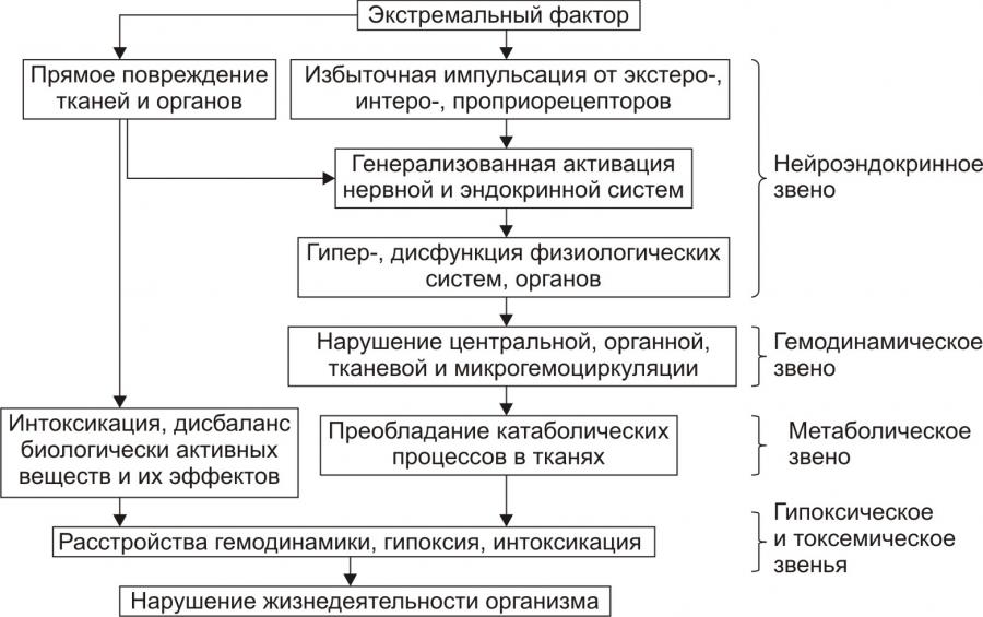 Схема цепная реакция при шоке