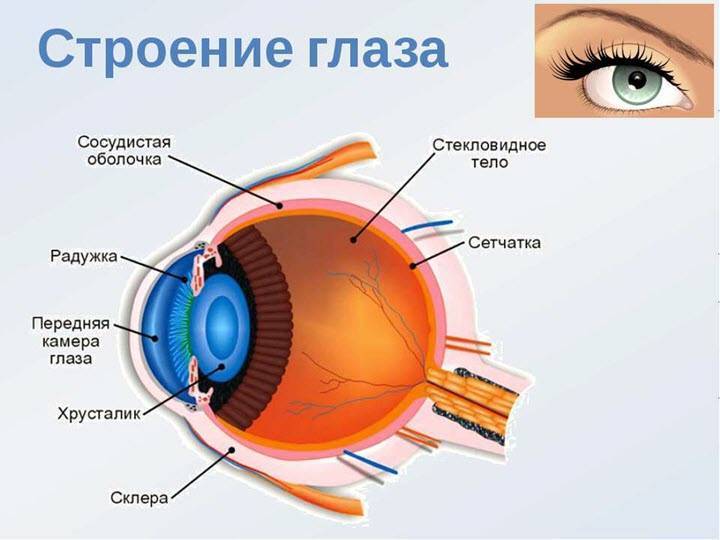 Ангиопатия сетчатки фото