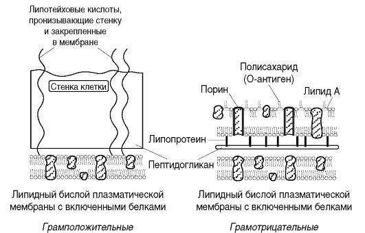 bc754e73a3bda8af787bae771e888da1