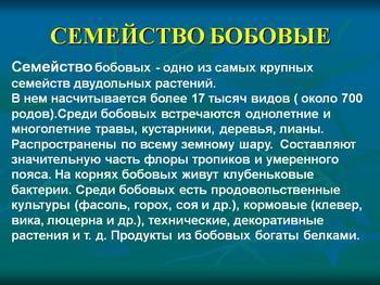 Что такое клубеньковые бактерии 5 класс биология. Смотреть фото Что такое клубеньковые бактерии 5 класс биология. Смотреть картинку Что такое клубеньковые бактерии 5 класс биология. Картинка про Что такое клубеньковые бактерии 5 класс биология. Фото Что такое клубеньковые бактерии 5 класс биология