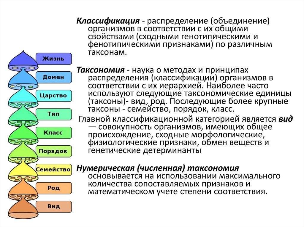 Таксономия социальных проектов