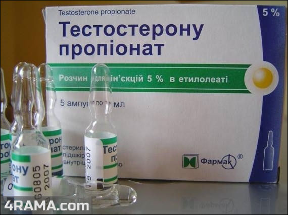 Тестостерона пропионат - инструкция по применению, отзывы, противопоказания