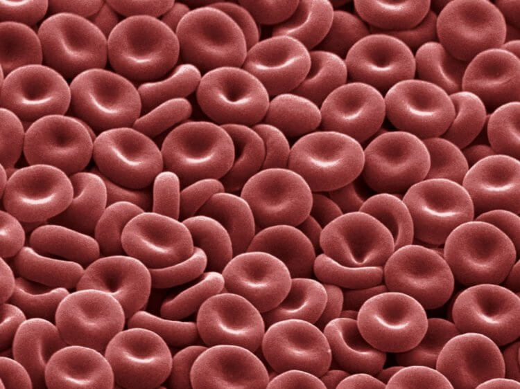 Группа крови 1 отрицательная: группа крови. резус фактор. очень интересная статья :))), группа крови с непонятным резусом   группа крови и резус фактор