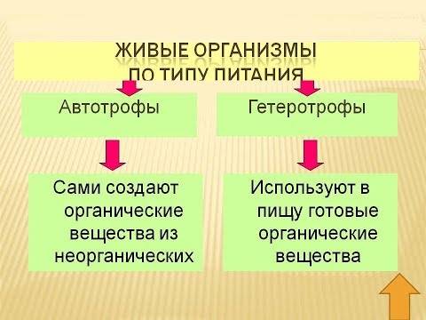 Бактерии автотрофы характеризуются тем что. be251ebc029bcd815ba0cc2bf28e2ce5. Бактерии автотрофы характеризуются тем что фото. Бактерии автотрофы характеризуются тем что-be251ebc029bcd815ba0cc2bf28e2ce5. картинка Бактерии автотрофы характеризуются тем что. картинка be251ebc029bcd815ba0cc2bf28e2ce5.