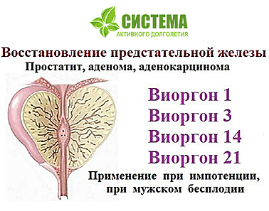 Биофлуревит 26 - биофлуревит костной ткани