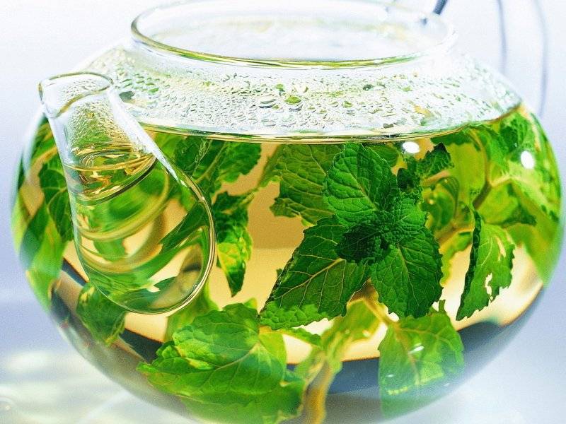 11 полезных свойств чая с мятой и экстрактов | пища это лекарство