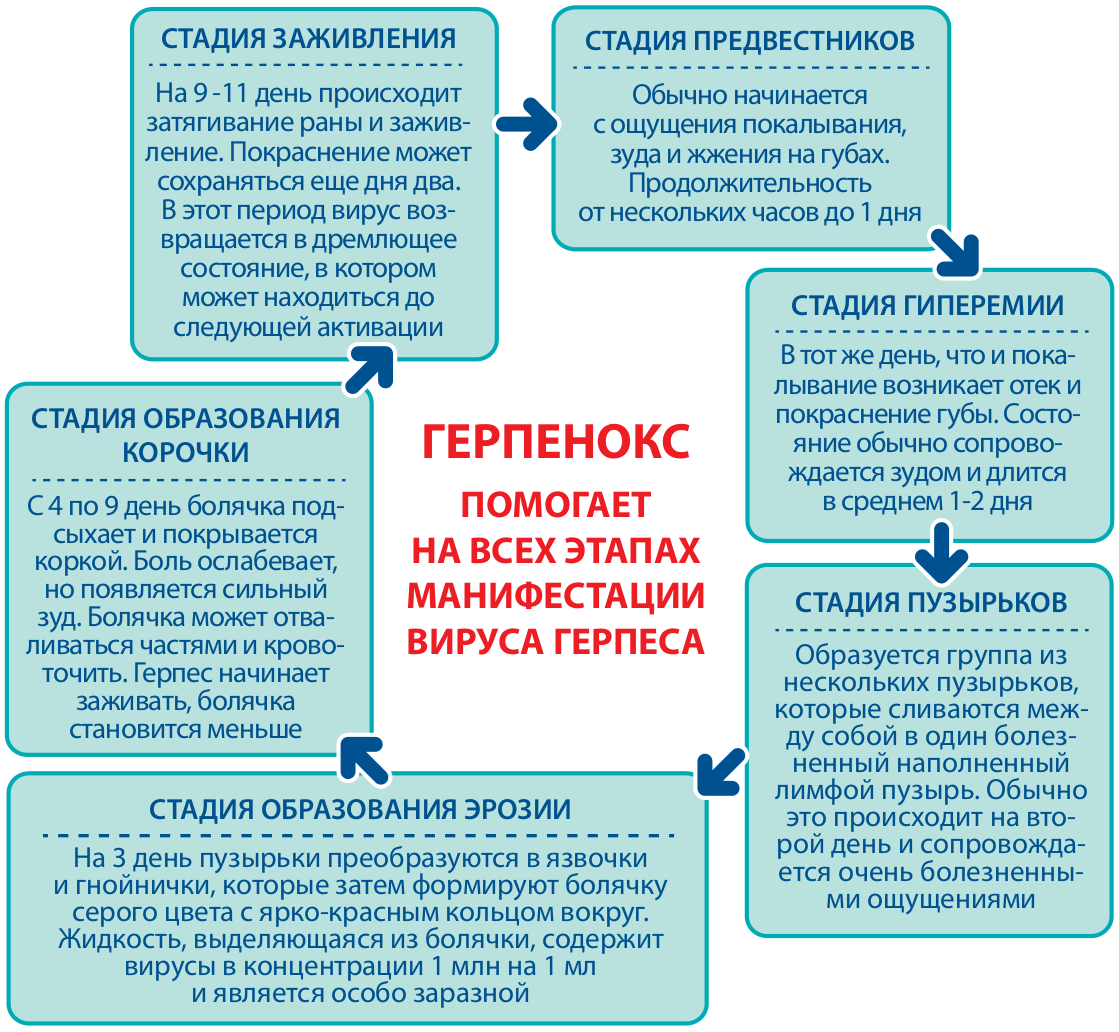 Герпенокс мазь. Герпенокс гель инструкция. Герпенокс инструкция по применению. Герпенокс противопоказания.