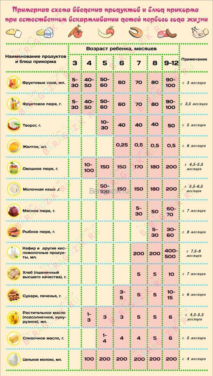 Таблица введения прикорма