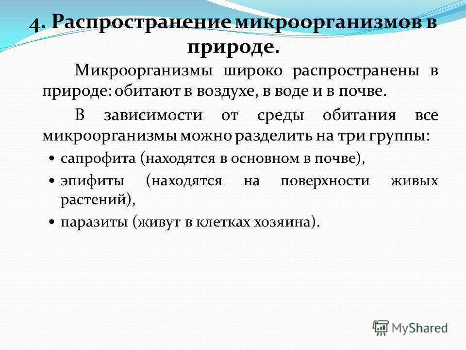 Презентация на тему распространение микробов в природе