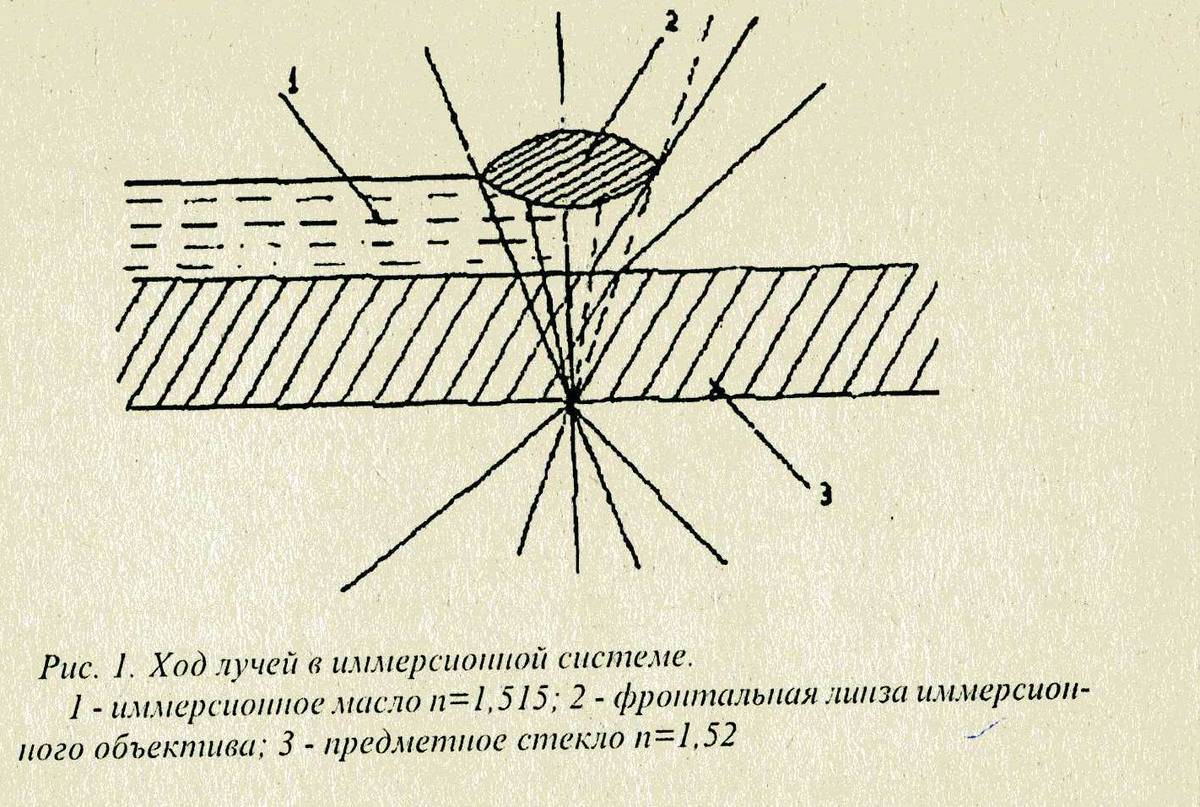 Схема хода лучей в биологическом микроскопе при изучении кристаллизации капли раствора соли