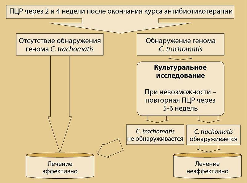 Доксициклин при хламидиозе у женщин схема лечения