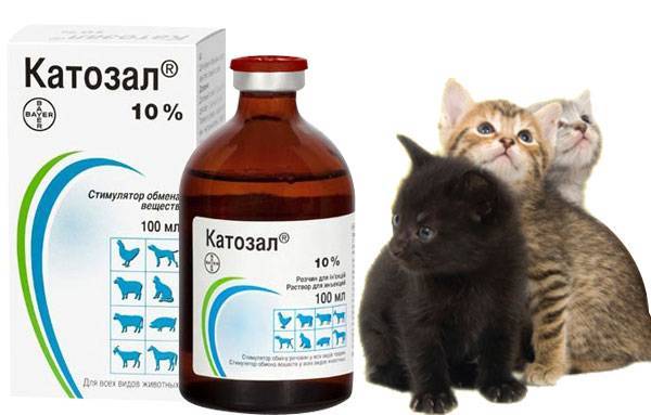 Описание ветеринарного препарата Катозал