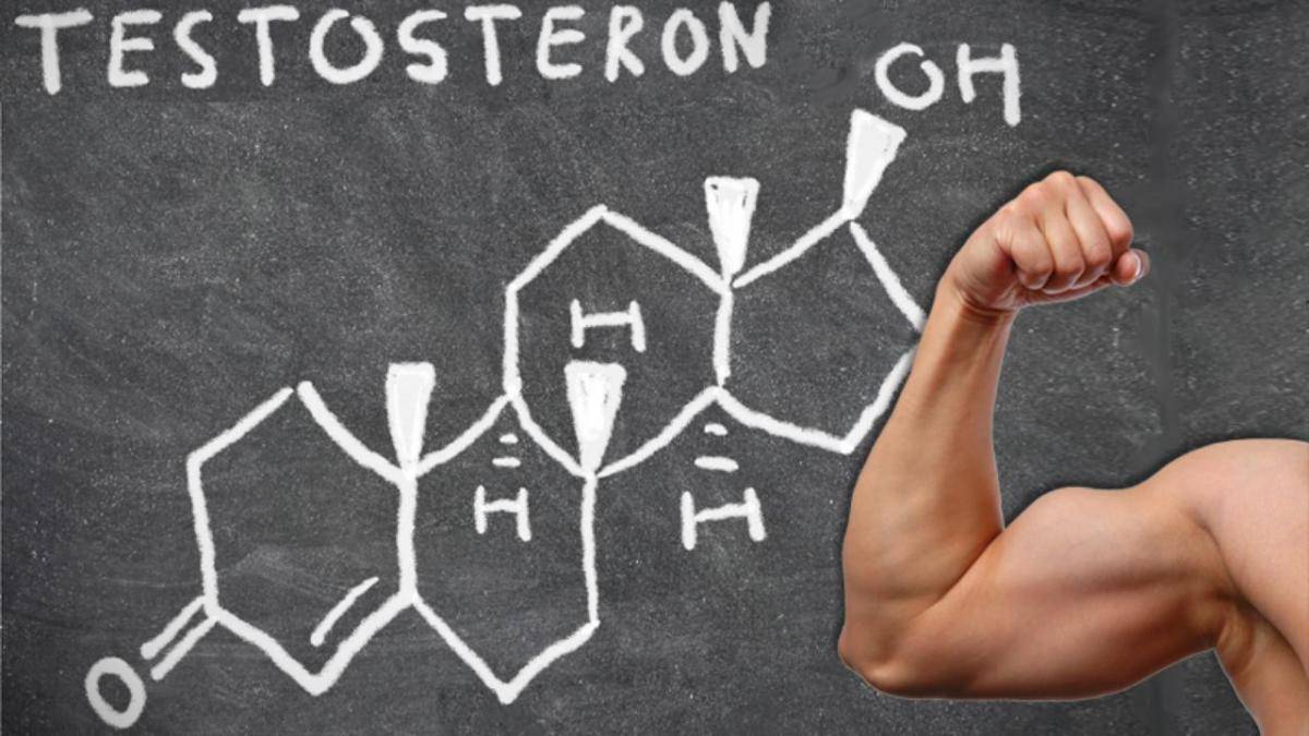 Нехватка тестостерона у мужчин — где найти эликсир мужественности?