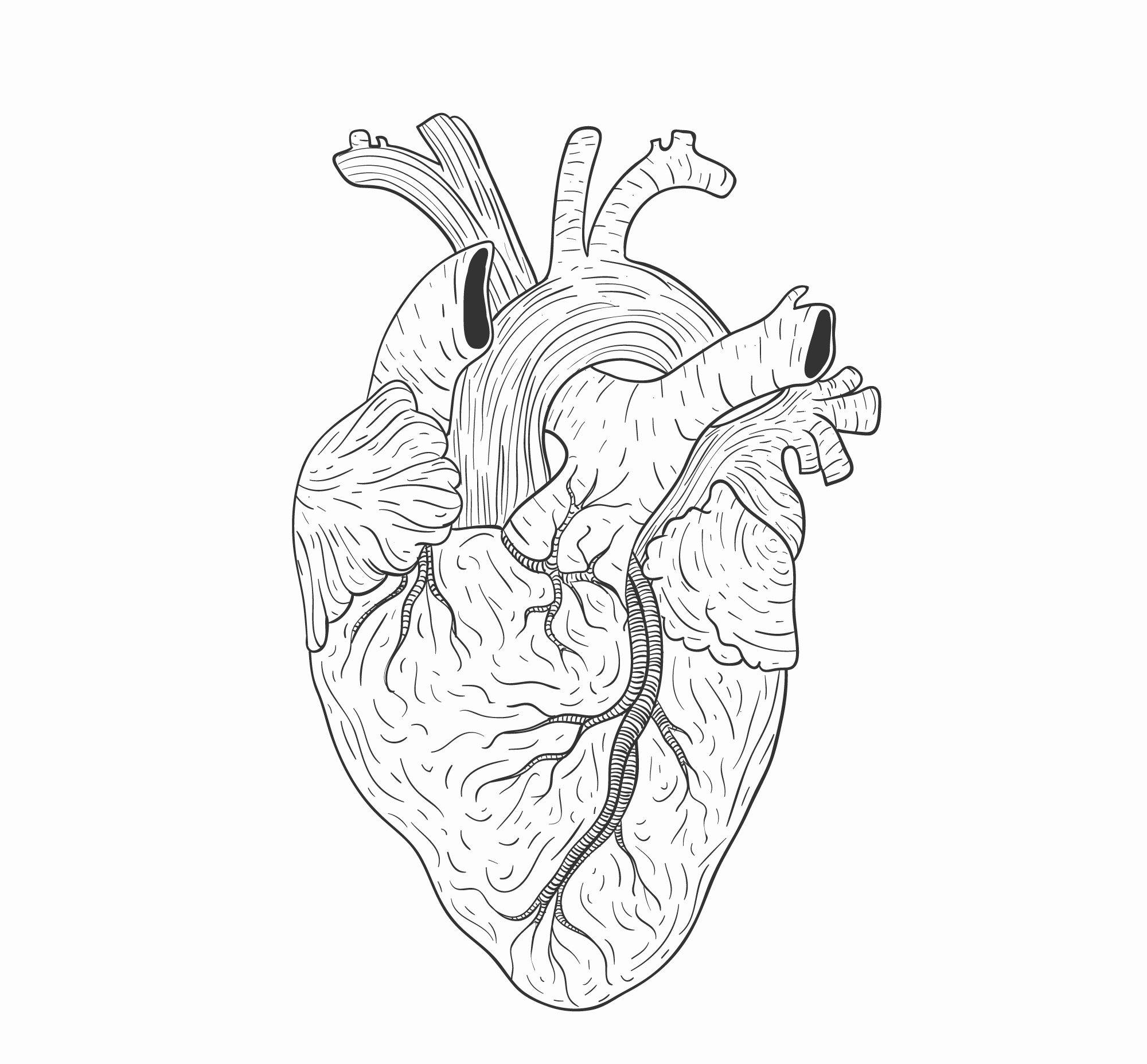 Кардиолог - сайт о заболеваниях сердца и сосудов