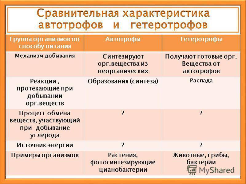 Приведите примеры автотрофных и гетеротрофных организмов