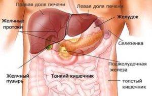 Заболевании печени желчного пузыря поджелудочной железы