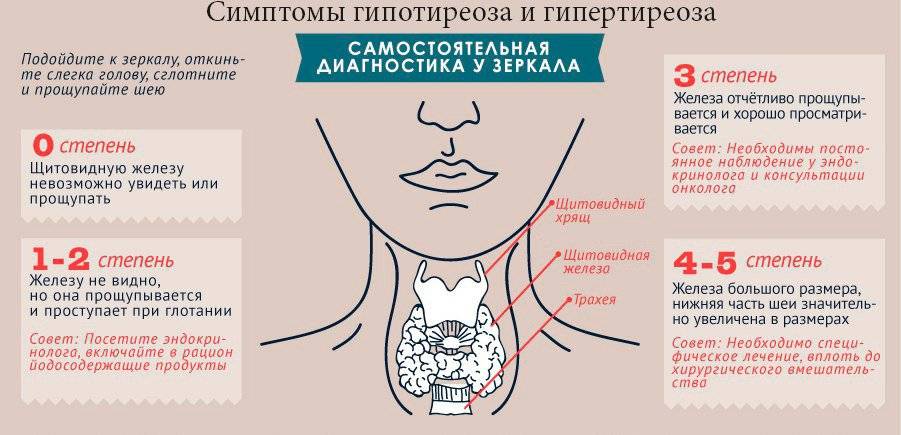 Диета при гипертиреозе щитовидной железы