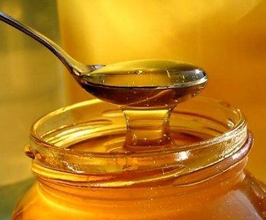Лечебные свойства алоэ с медом. как приготовить, принимать, рецепты от кашля, для желудка, глаз, легких, поджелудочной железы, иммунитета
