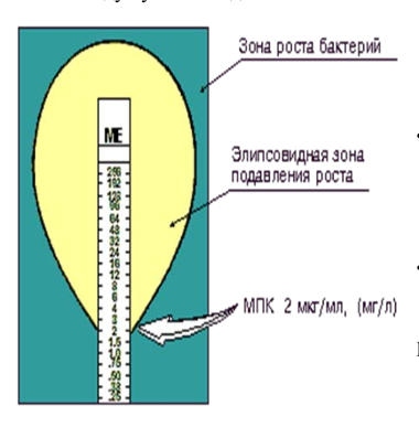 Метод е