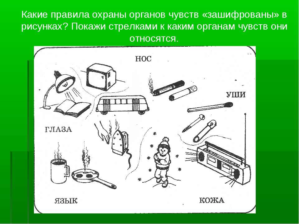 Гигиена органов чувств и здоровье 8 класс презентация