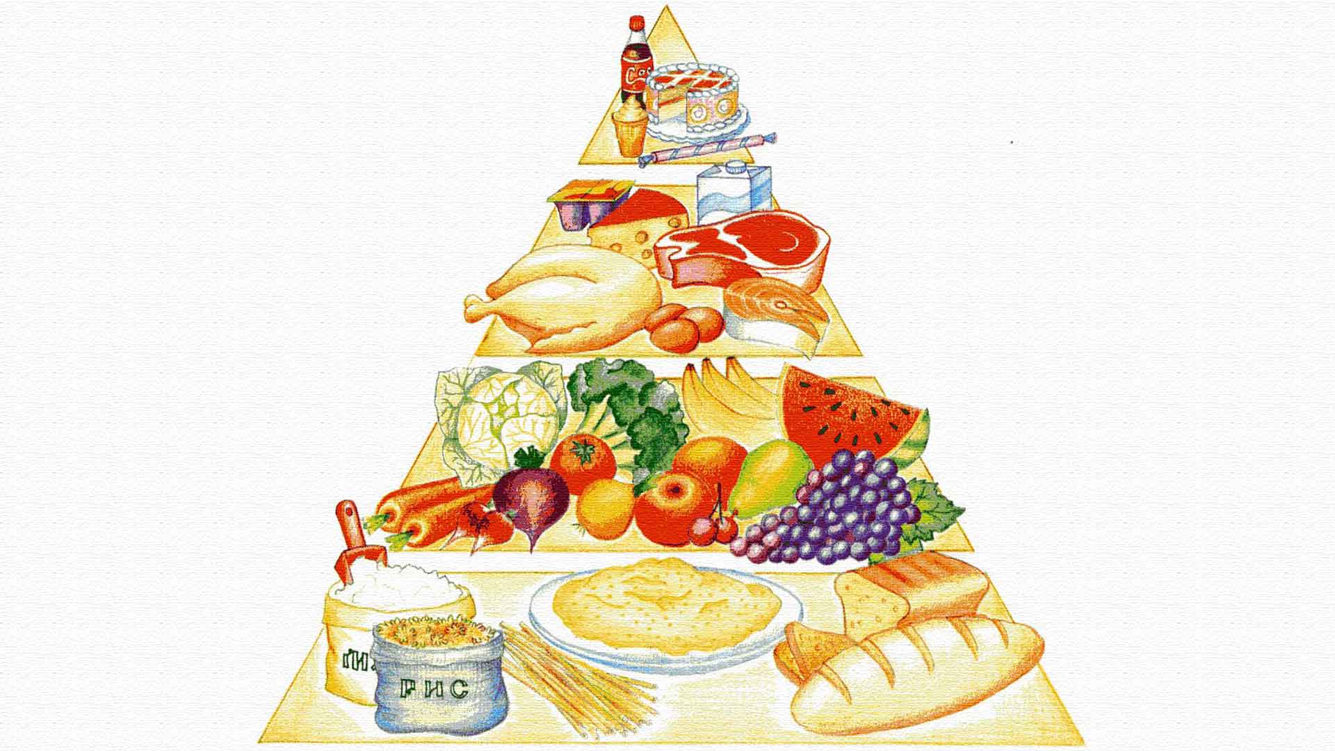 Изображение пищевой пирамиды