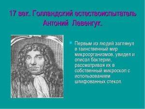 что больше клетка или бактерия. Смотреть фото что больше клетка или бактерия. Смотреть картинку что больше клетка или бактерия. Картинка про что больше клетка или бактерия. Фото что больше клетка или бактерия