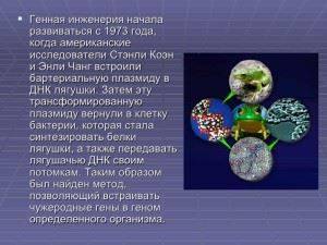 Имеют ли бактерии ядро, или особенности строения прокариотических клеток