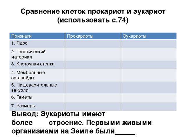 Бактерии автотрофы характеризуются тем что. d243dbb41500ce3a4b8859c377b896f6. Бактерии автотрофы характеризуются тем что фото. Бактерии автотрофы характеризуются тем что-d243dbb41500ce3a4b8859c377b896f6. картинка Бактерии автотрофы характеризуются тем что. картинка d243dbb41500ce3a4b8859c377b896f6.