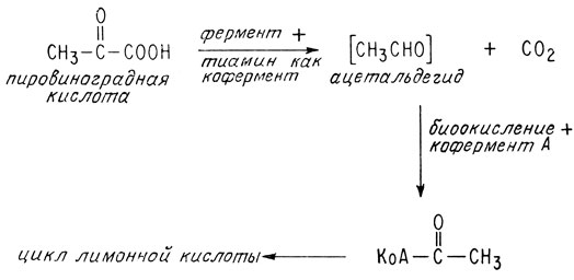 Инструкция по применению уколов тиамина хлорид