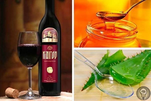 Алоэ при простуде: популярные рецепты народных средств и советы по использованию сока растения от кашля