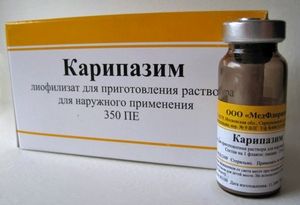 Карипазим (caripazim) для электрофореза. цена, инструкция по применению