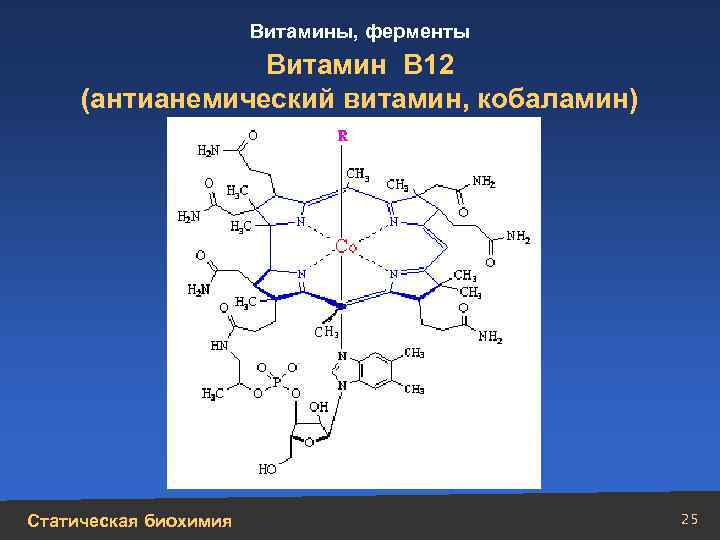 Витамин в12 (кобаламины, цианокобаламин). описание, источники и функции витамина b12