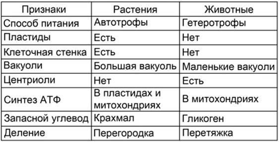 В чем заключается принципиальное различие клеток живых организмов. d7a7b9c5fa9ac48ae87c12d414312553. В чем заключается принципиальное различие клеток живых организмов фото. В чем заключается принципиальное различие клеток живых организмов-d7a7b9c5fa9ac48ae87c12d414312553. картинка В чем заключается принципиальное различие клеток живых организмов. картинка d7a7b9c5fa9ac48ae87c12d414312553