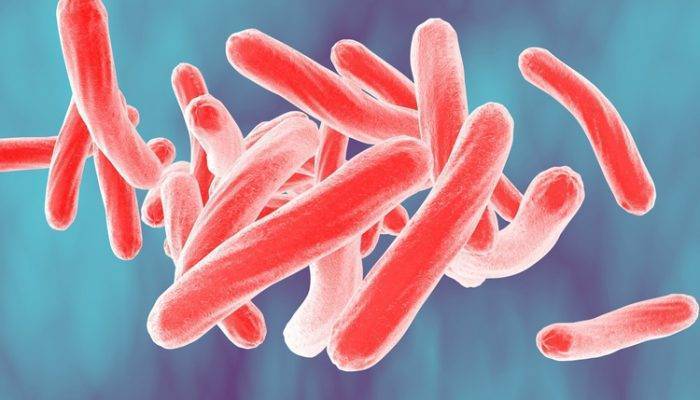Приложение n 2. инструкция по применению клинической классификации туберкулеза