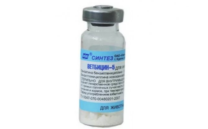 Бициллин 3 – инструкция по применению противомикробного препарата, противопоказания