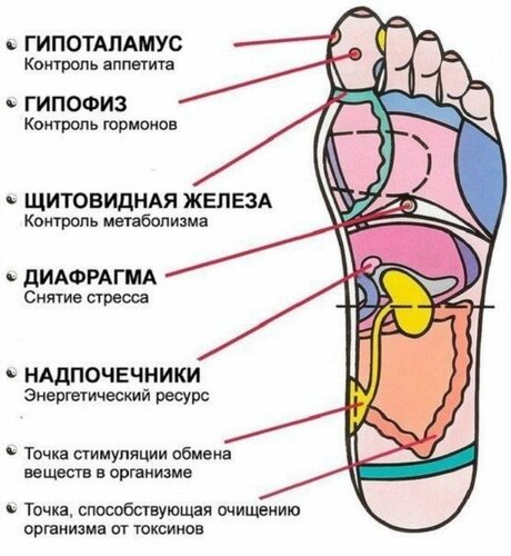Как правильно делать массаж ног и ступней