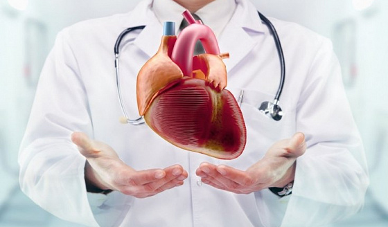 Детальная классификация пороков сердца: врожденные и приобретенные заболевания