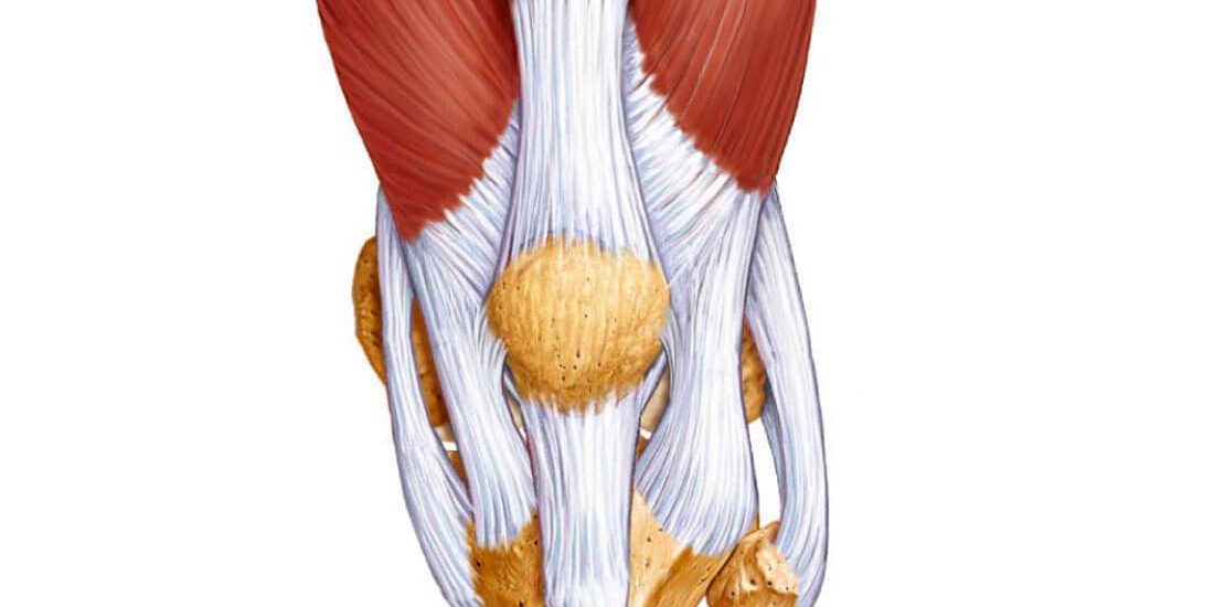 Разрыв связок коленного сустава: причины, симптомы, лечение