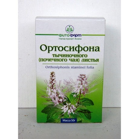 Почечный чай (ортосифон): полезные свойства и противопоказания