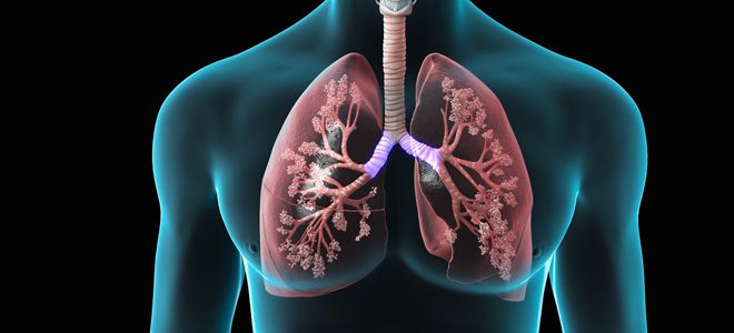 Результаты спирографии при бронхиальной астме и норма