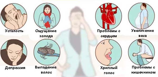 Заболевания щитовидной железы - симптомы, лечение, признаки, причины и профилактика